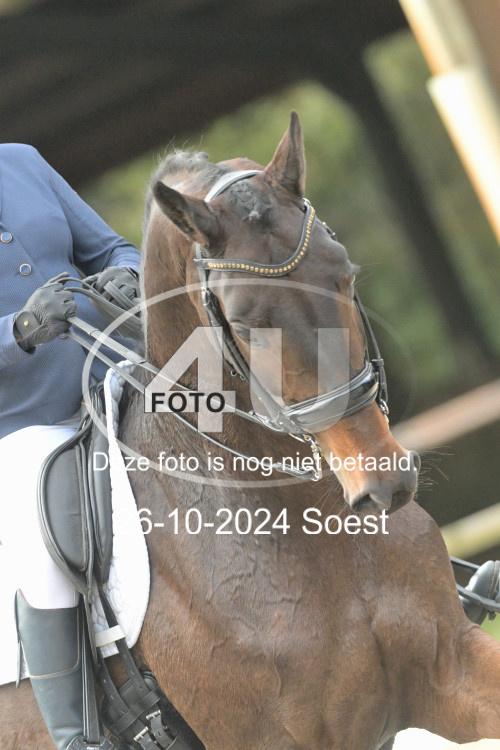 241026 2584