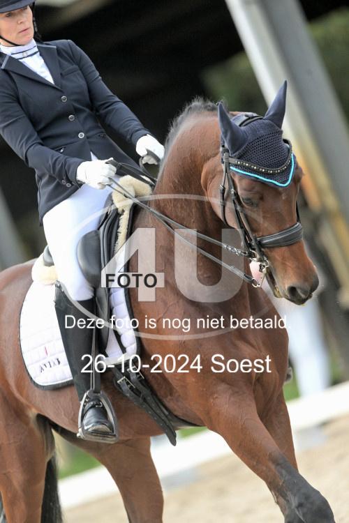 241026 2646