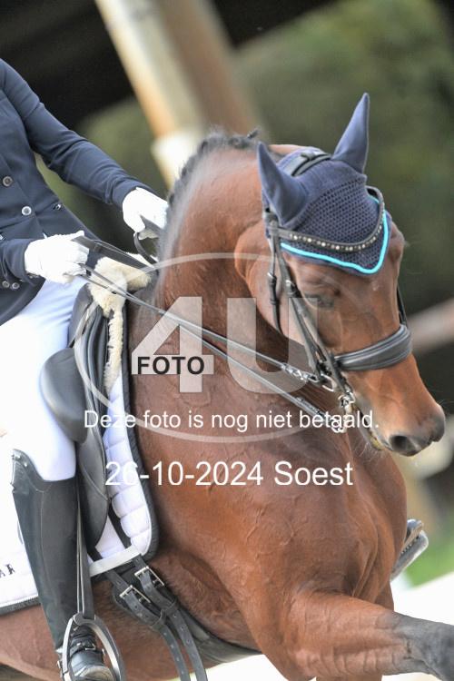 241026 2649