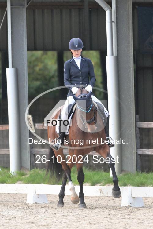 241026 2653