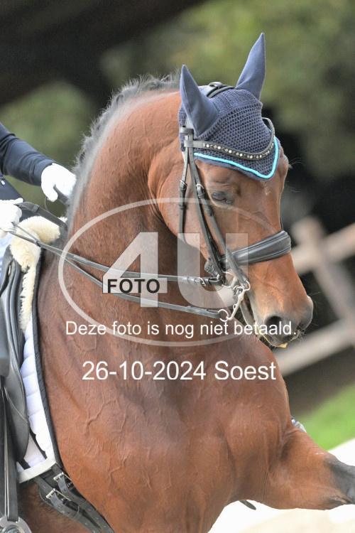 241026 2666