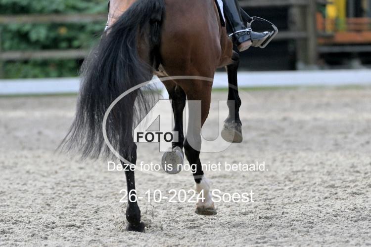 241026 2706