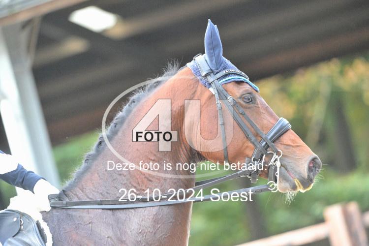 241026 2720