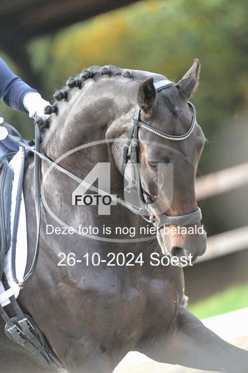 241026 2735