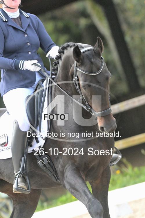241026 2747