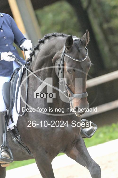 241026 2750