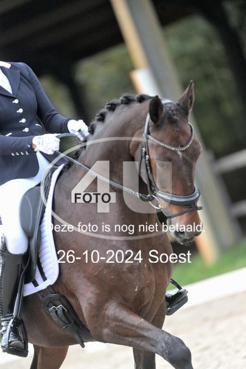 241026 2820