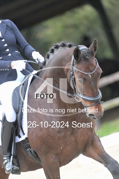 241026 2821