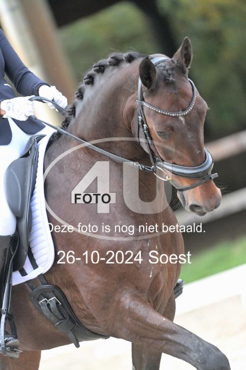 241026 2822