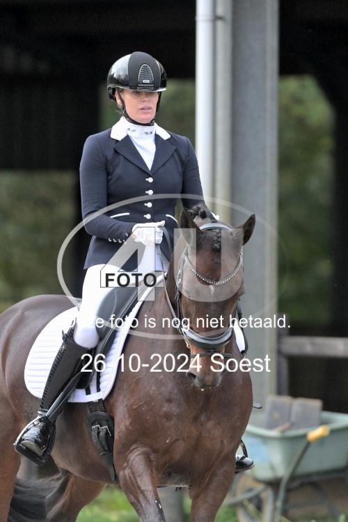 241026 2831