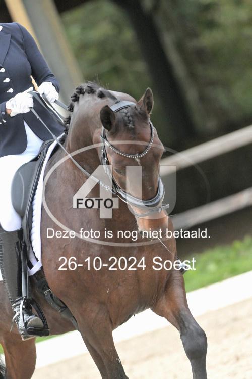241026 2834