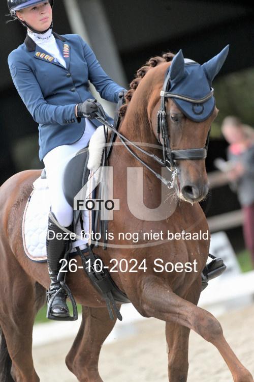 241026 2904