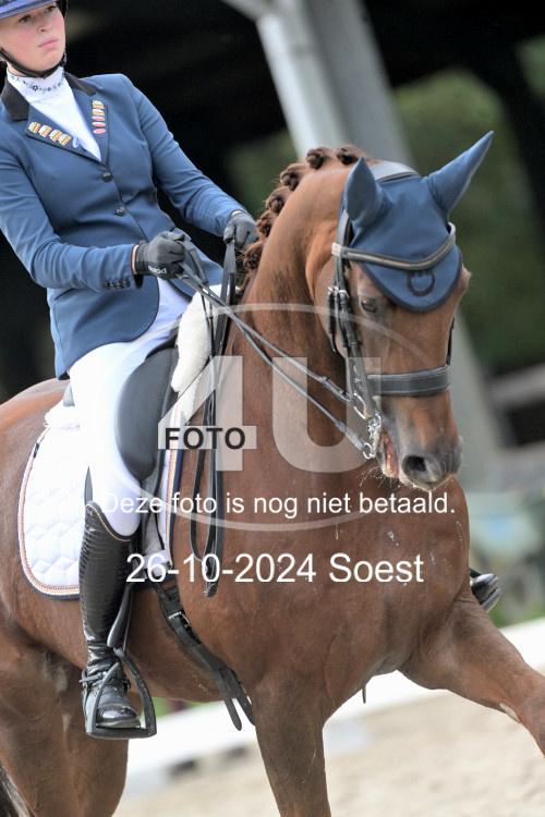 241026 2905