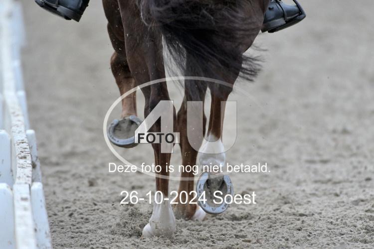241026 2908