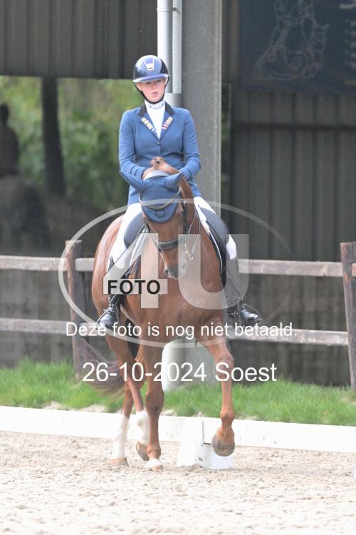 241026 2915
