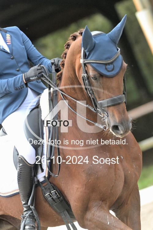 241026 2925