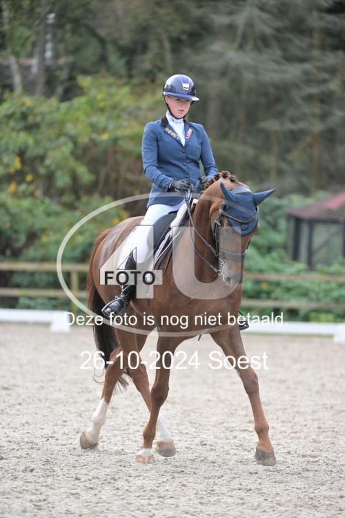 241026 2940