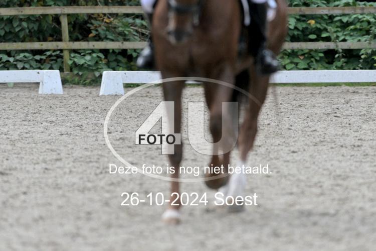 241026 2952