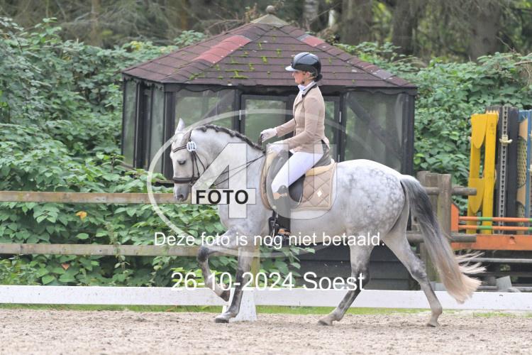 241026 2981