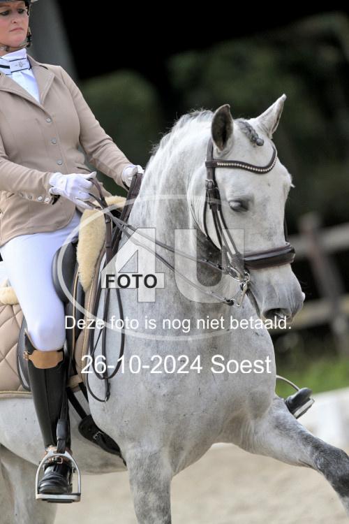 241026 2992