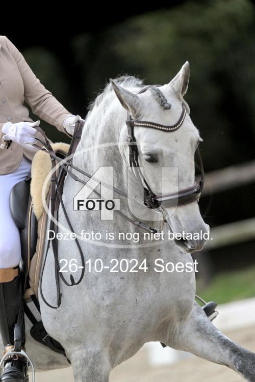 241026 2993