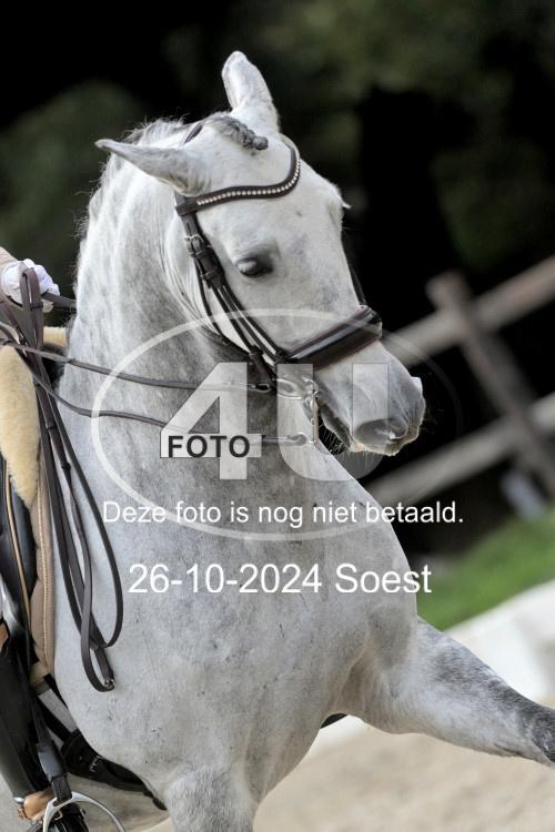 241026 3007