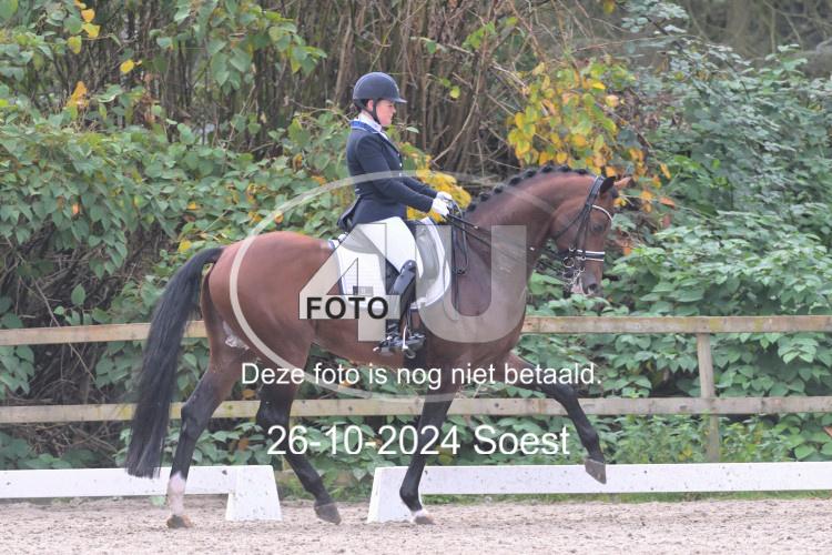 241026 3087