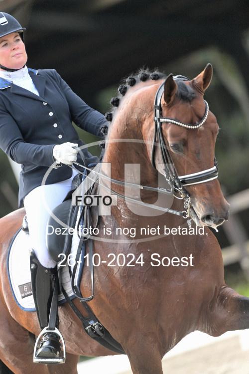 241026 3121