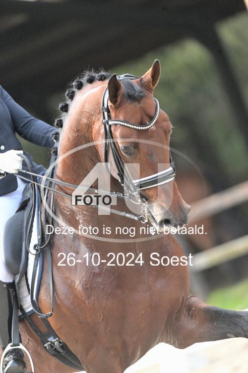 241026 3123