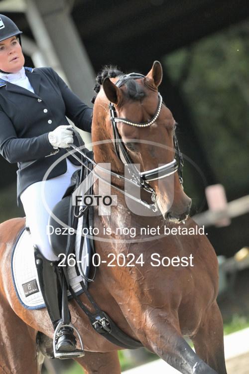 241026 3148