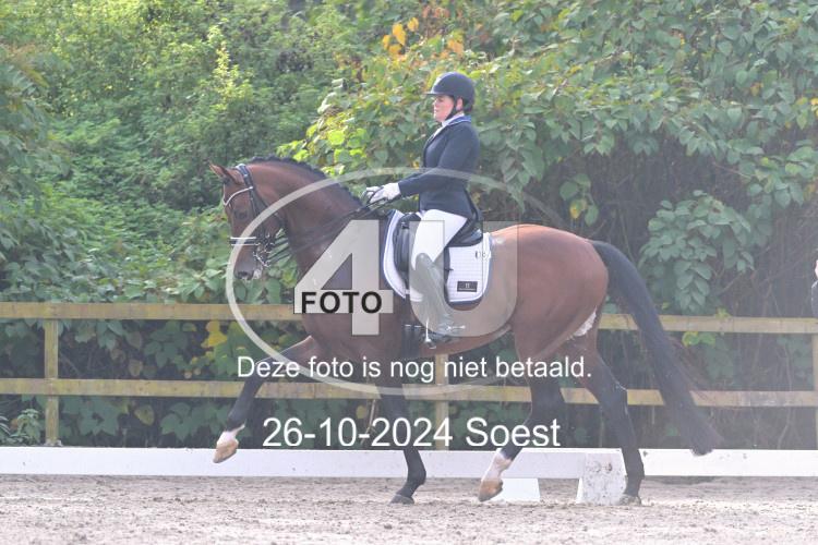 241026 3163