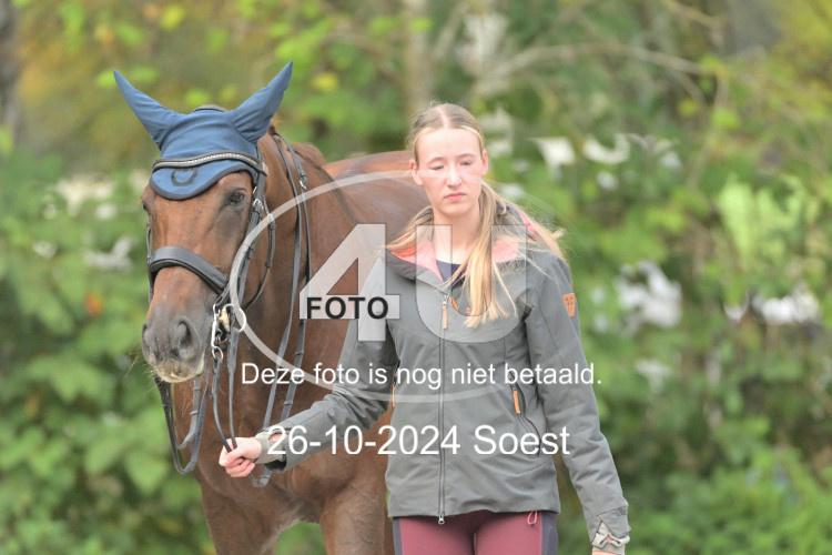 241026 3265