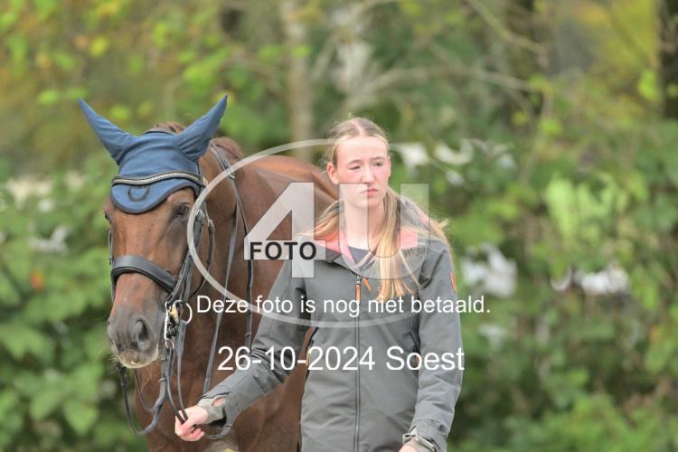 241026 3266