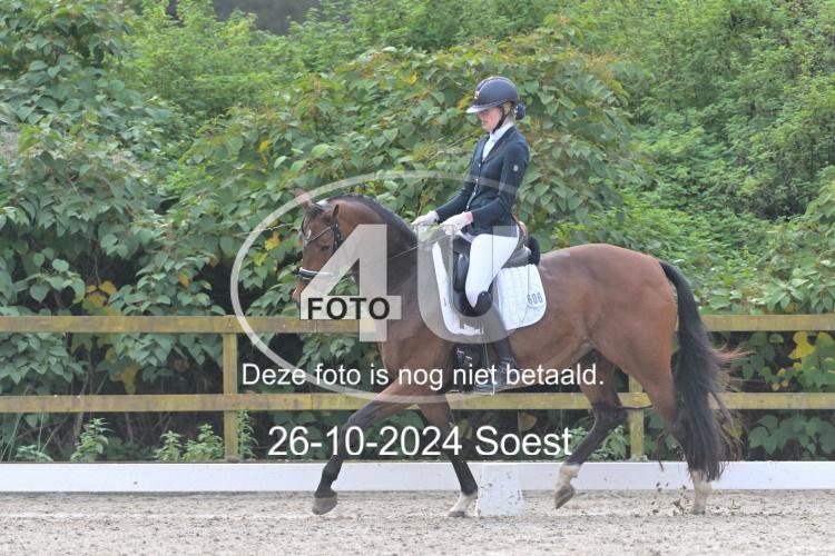241026 3295