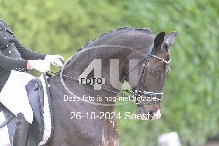 241026 3339