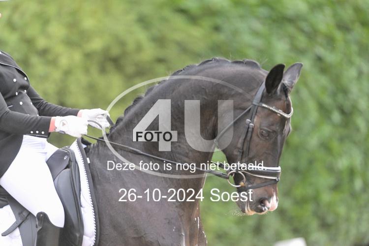 241026 3340