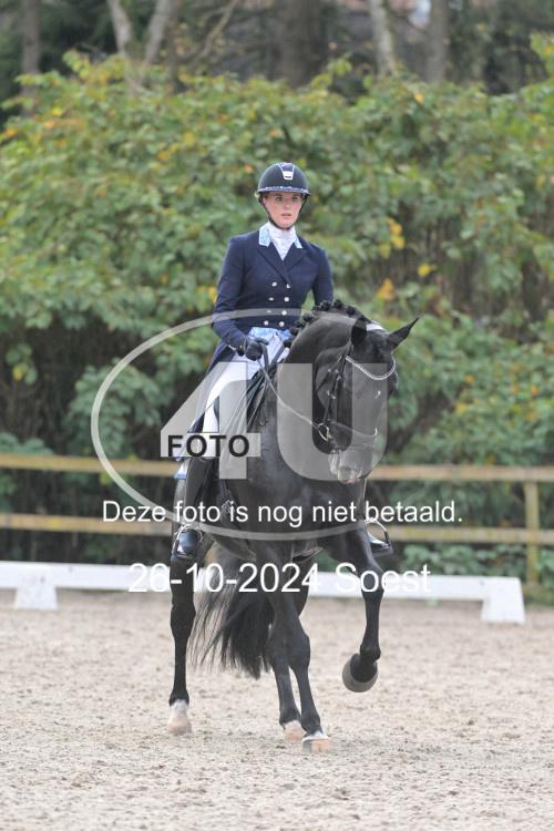 241026 3360