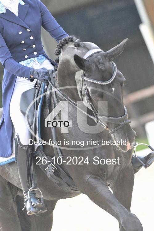 241026 3362