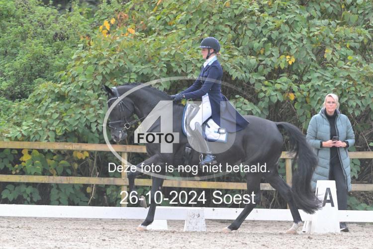 241026 3367