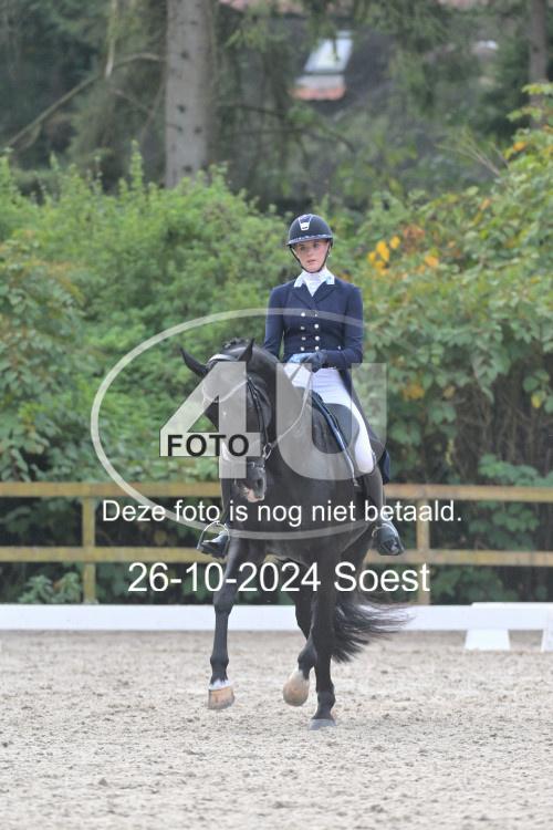 241026 3380