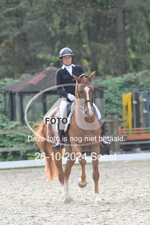 241026 3434
