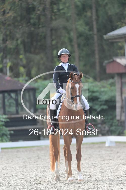 241026 3435