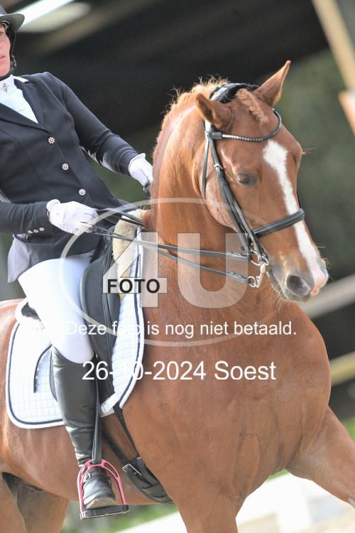 241026 3442