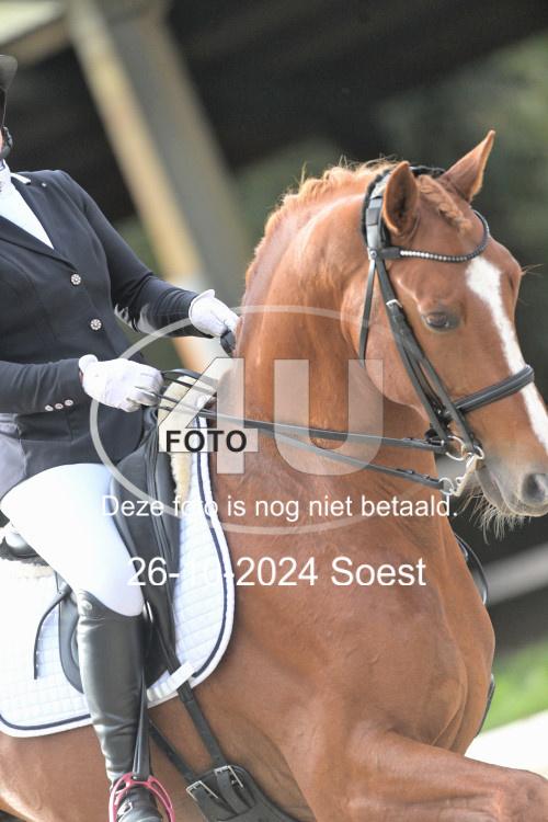 241026 3443