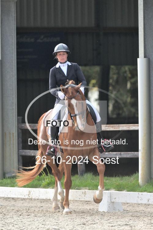241026 3448
