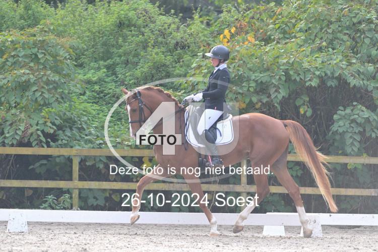 241026 3451
