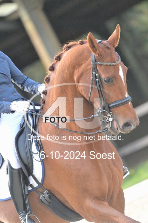 241026 3500