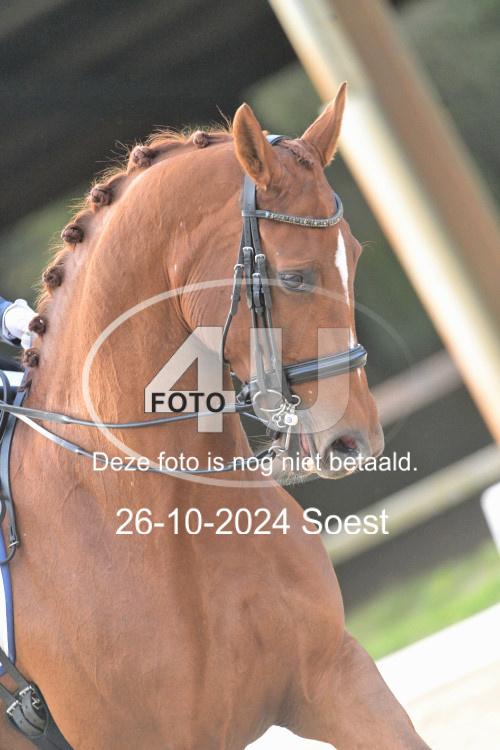241026 3501