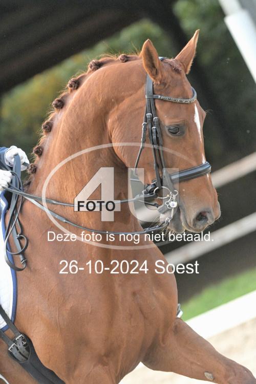 241026 3528