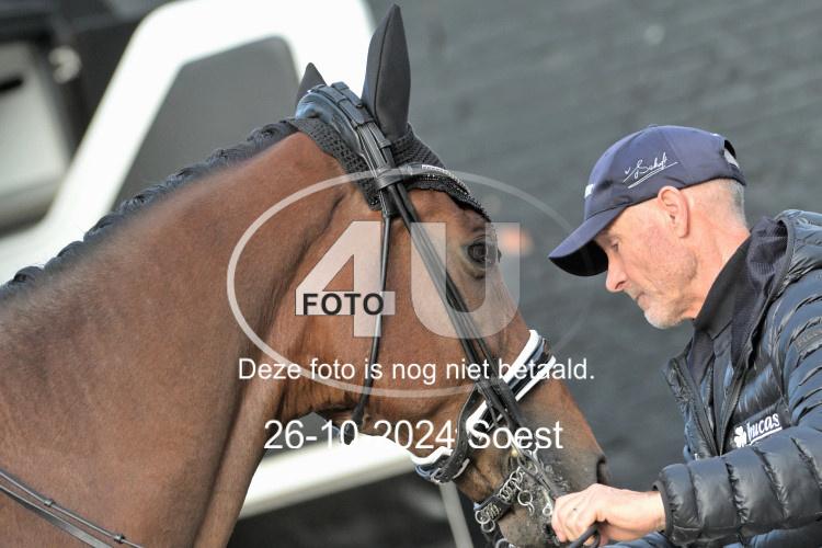 241026 3531